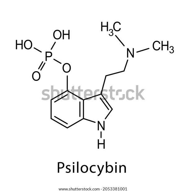 Psilocybin Molecule Vector Chemical Formula Psilocybin Stock Vector