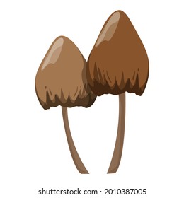 Psilocybin mushroom vector isolated. Illegal narcotic, psychedelic drug. Organic plant.