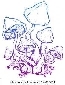 Psilocybin mushrooms