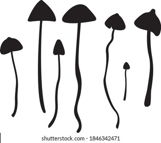 Psilocybin mushrooms or magic mushrooms. Possible future treatment to cure mental health diseases such as depression and anxiety. 