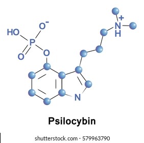 Psilocybin is a naturally occurring psychedelic compound produced by more than 200 species of mushrooms, collectively known as psilocybin mushrooms.