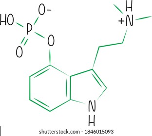 Psilocybin. Naturally occurring psychedelic prodrug compound produced by more than 200 species of fungus. Possible future treatment to cure mental health diseases such as depression and anxiety. 