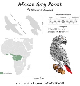 In: Psittacus erithacus African Grey Parrot Geographic Range. Kann für Themen wie Biologie, Zoologie verwendet werden. 
