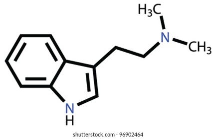 Psychedelic Dimethyltryptamine Structural Formula