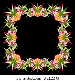 Psychedelic marijuana and magic mushrooms frame vector illustration