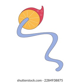 Psychedelic mushroom vector illustration isolated on white. 