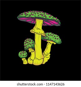 Psychedelic mushrooms on a black background