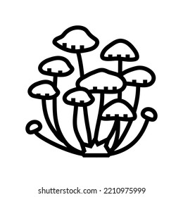 psychedelic natural mushroom line icon vector. psychedelic natural mushroom sign. isolated contour symbol black illustration