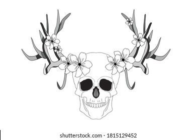 Psychedelic skull. Realistic horrible colorful black and white human skull with large sharp deer antlers and flowers. Isolated over white background.