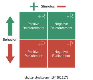 The Psychology Of Positive Reinforcement Theory