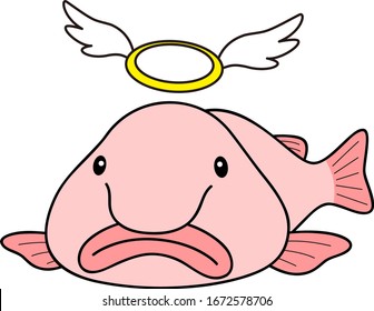 Psychrolutes marcidus Blobfish Character illustration Vector