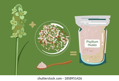 Psyllium plant,flowers,husks in packet and wood spoon with powder.Ispaghula seeds and grain.Organic healthy vegan dietary fiber.Keto flour.Superfood.Hand drawn doodle vector poster for bio shop