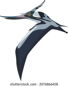 Pteranodon is a flying dinosaur. Vector illustration