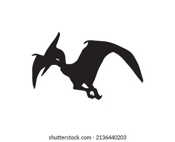 Pteranodon Pterodactyl ,  dinosaur on isolated background .