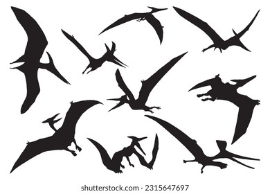 pteranodon or pterodactyl silhouette set collection isolated black on white background vector illustration