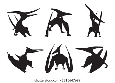 pteranodon or pterodactyl silhouette set collection isolated black on white background vector illustration