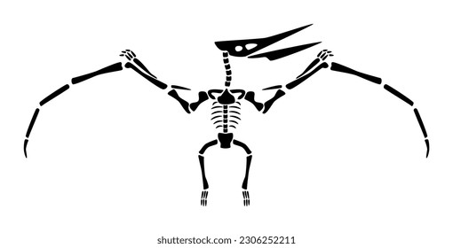 Skeleton de Pteranodon. Dinosaurios voladores de silueta. Vista frontal. Vector.