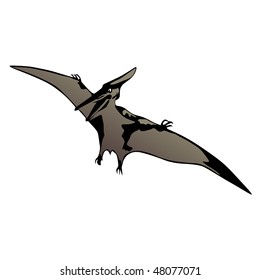 pteranodon vector illustration