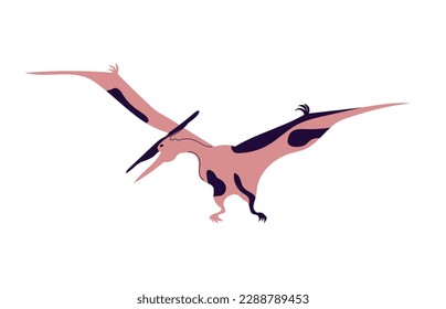 Pteranodon vector illustration isolated on white background. Dinosaurs of the Jurassic period.
