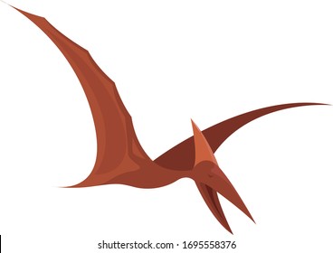 Pterodactyl bird, illustration, vector on white background
