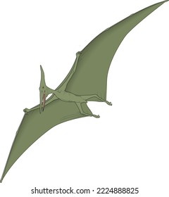 Pterodactyl Dinosaur Flying Vector Illustration