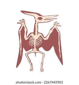 Pterodactyl Dinosaur Skeleton Bones Isolated on White Background. Prehistoric Wild Flying Animal, Ancient Giant Bird of Jurassic Period. Paleontology Reptile Element. Cartoon Vector Illustration