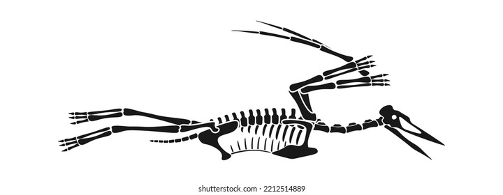 Pterodactyl Dinosaur skeleton Prehistoric Animal. Vector illustration