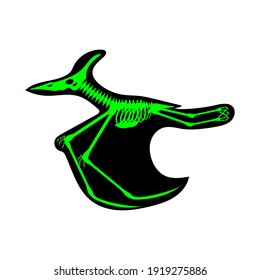 Pterodactyl dinosaur skeleton, vector illustration