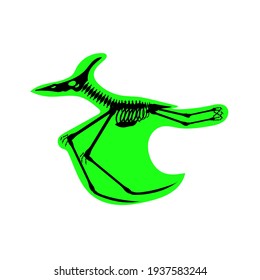 pterodactyl dinosaur skeleton, vector illustration