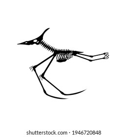 Pterodactyl Dinosaur Skeleton, Vector Illustration