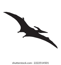 Pterodactyl Dinosaur Vector Illustration Silhouette