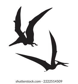 Pterodactyl Dinosaur Vector Illustration Silhouette