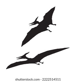 Pterodactyl Dinosaur Vector Illustration Silhouette