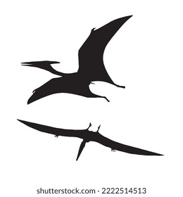 Pterodactyl Dinosaur Vector Illustration Silhouette