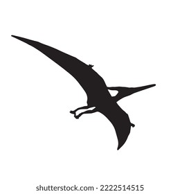 Pterodactyl Dinosaur Vector Illustration Silhouette
