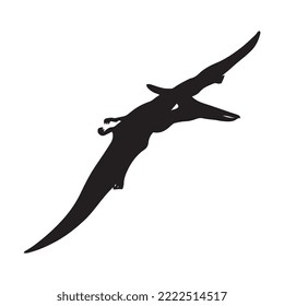 Pterodactyl Dinosaur Vector Illustration Silhouette