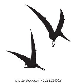 Pterodactyl Dinosaur Vector Illustration Silhouette