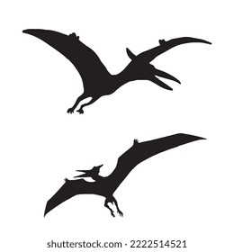 Pterodactyl Dinosaur Vector Illustration Silhouette