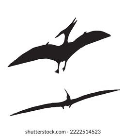 Pterodactyl Dinosaur Vector Illustration Silhouette