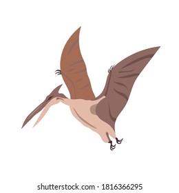 
Pterodactyl, flying dinosaur, drawing, vector illustration