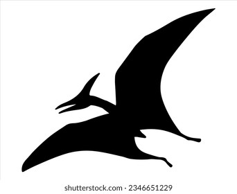 Pterodactyl silhouette vector art wild animal