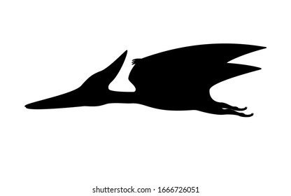 Pterodactyl silhouette. Vector illustration black silhouette of a flying pterodactyl dinosaur isolated on a white background. Dinosaur logo icon, side view profile.