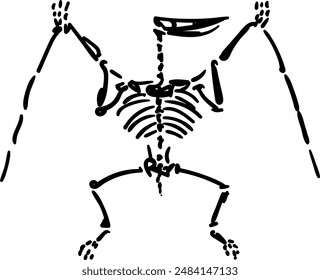 Pterodactyl skeletons. Dino bones. Remains of ancient animal vector illustration