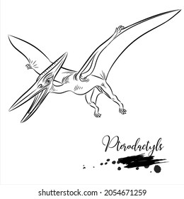 Pterodactyls Realistic Sketch Aquatic Dinosaur Vector Stock Vector ...