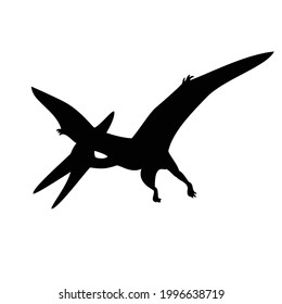 Pterodactylus Silhouette Vector illustration. Pterodactyl. Pteranodon. Dinosaur bird.  Isolated