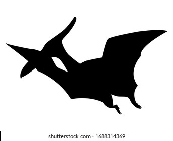 Pteroductylus silhouette isolated on white background. Vector illustration.