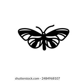 Pteronymia Glyph Icon, Vector illustration