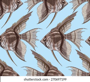 Pterophyllum altum