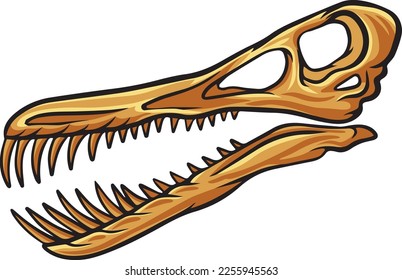 Pterosaur dinosaur skull fossil illustration