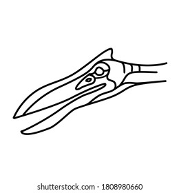 Pterosaur Icon. Doodle Hand Drawn or Black Outline Icon Style